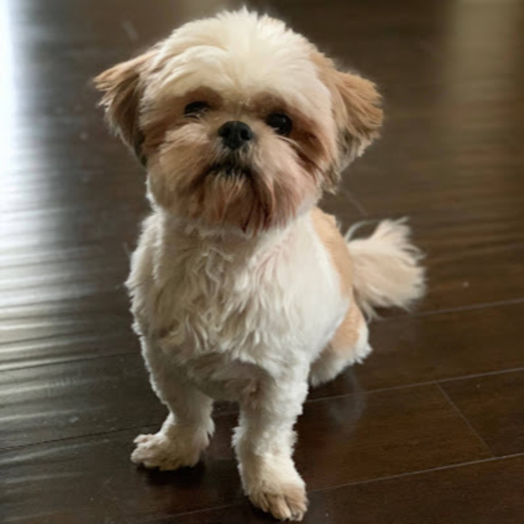 Meet your Posher, Michael - Picture 1 of 1